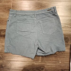 Carve Designs Oahu Short